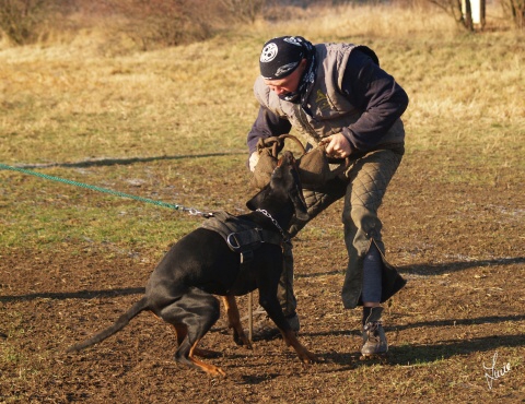 The christmas training 27.12.2006